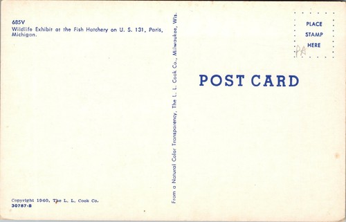 Vtg Paris Michigan MI Wildlife Exhibit at the Fish Hatchery Aerial View Postcard - Picture 2 of 2