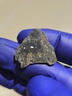 NWA 13636 Eucrite Unbrecciated Meteorite 1.476g Full Slice Rare w/ COA  — photo 9