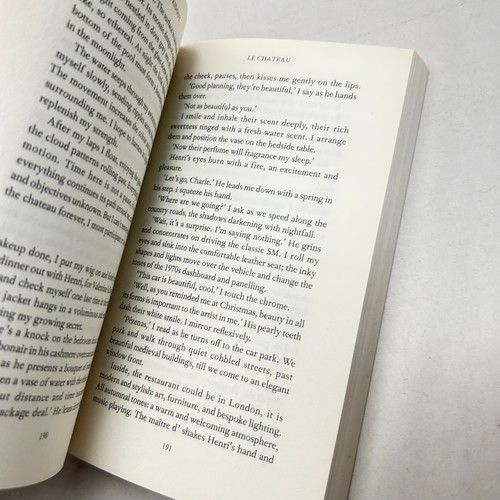 Le Chateau by Sarah Ridout Romantic Mystery Gothic Suspense Novel - Picture 9 of 12