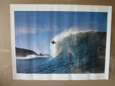 wipeout Surf surfing Don King  vintage Poster 22449