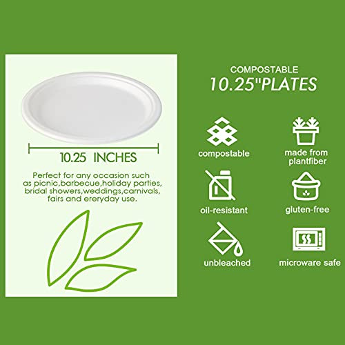 vplus-150-pack-compostable-disposable-paper-plates-10-25-inch-super