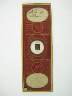Antique microscope slide by C.M.Topping. Skin of Negro.