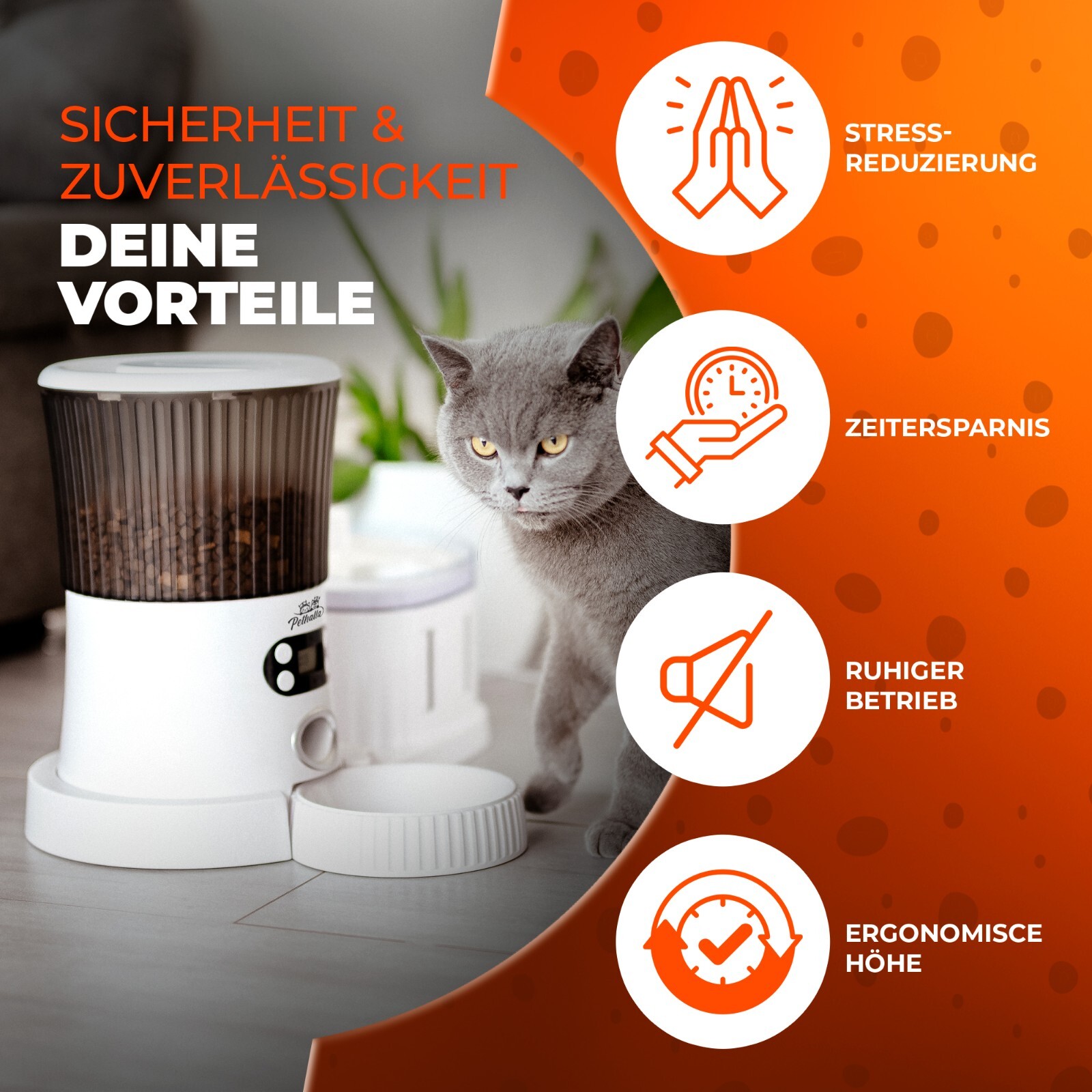 Bild 7 von 7