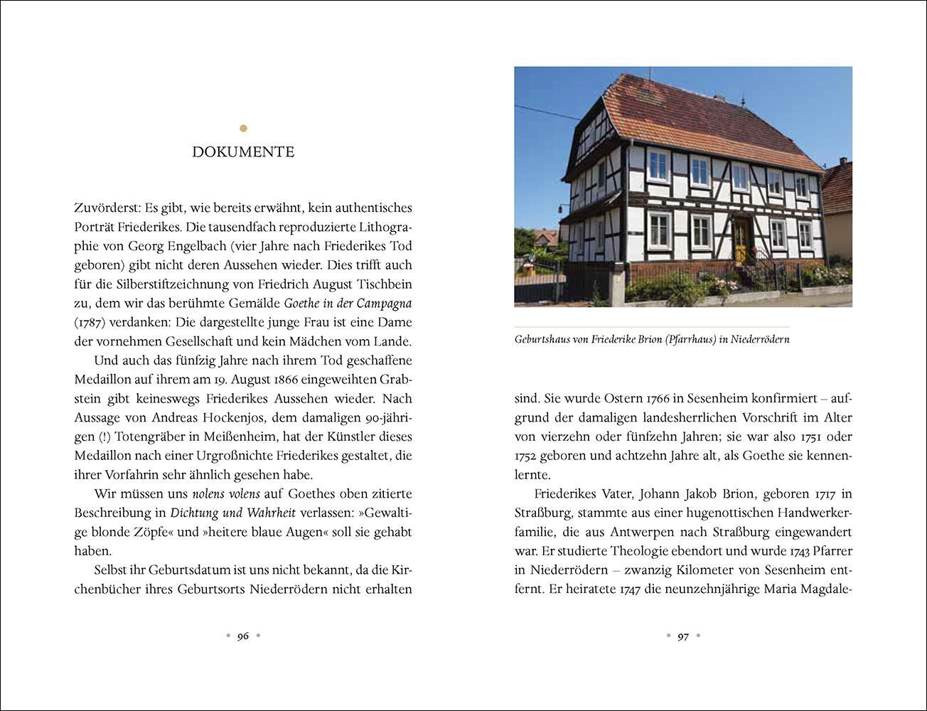 Thumbnail - Theo Stemmler / Goethe Und Friederike9783458194712