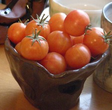 Isis Candy Cherry Tomato : 20 Seeds