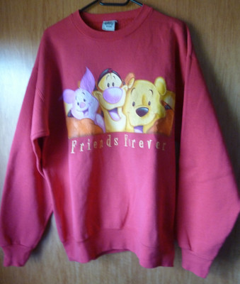 Disney Winnie the pooh Sweatshirt Friends Forever Gr. M wenig getragen