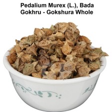 Pedalium Murex Linn Bada Gokhru Gokshura Whole 100gm 3.5 OZ .