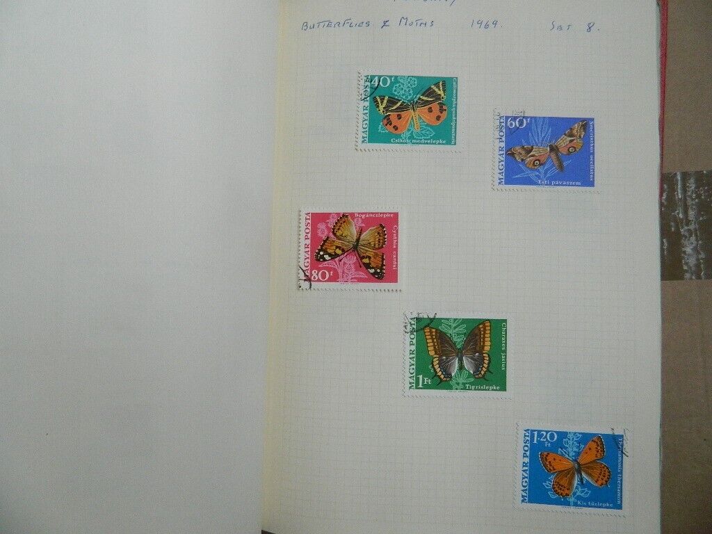 Picture 19 of 24