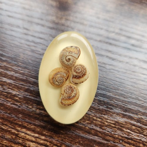 Vintage resin shell brooch pin