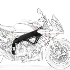 Carbon Fiber Motorcycle Frame Covers Protectors Body For Aprilia RSV4 2009-2020