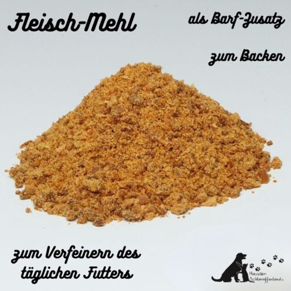 Bild 6 von 12