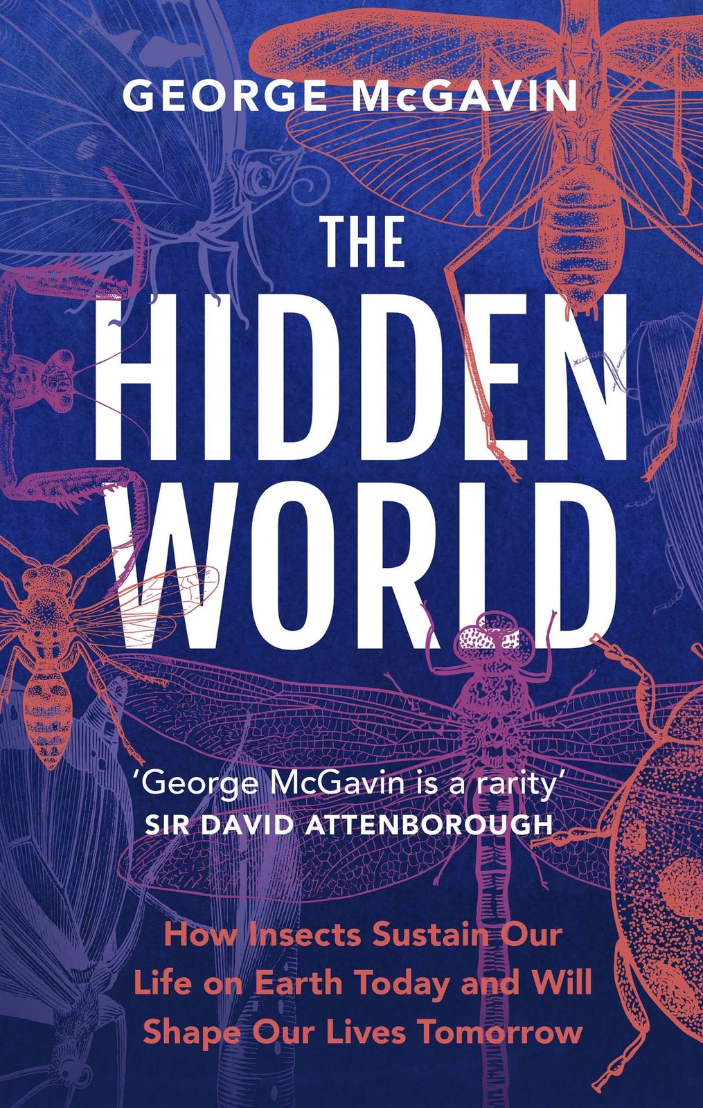 The Hidden World: How Insects Sustain Life on Earth by George McGavin HARDBACK - Image 9