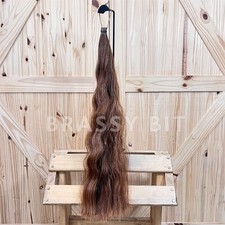 Chestnut Horse Tail Extension