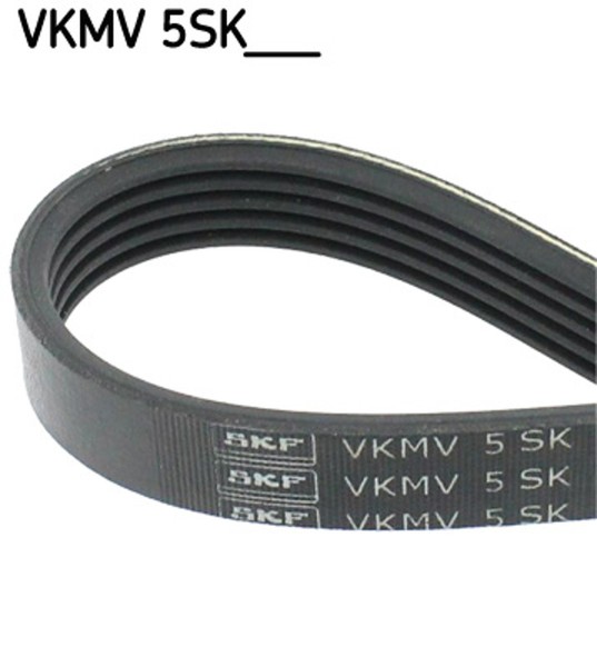 SKF Keilrippenriemen Vkmv 5SK716 FüR Mazda CW BK BL CR CR19 MZR Bkep Blffp Crew-image