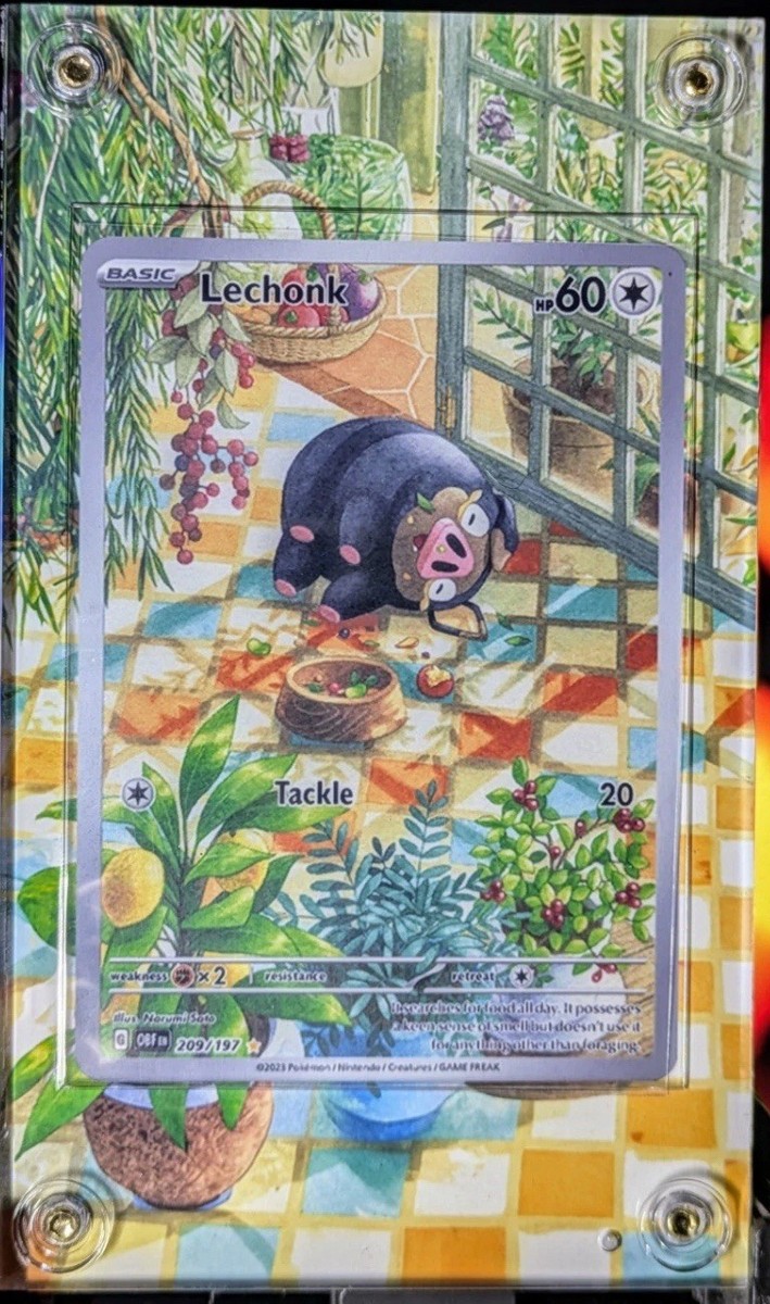 Lechonk SV03 Obsidian Flames 209/197 Holo IR Pokémon Extended Case