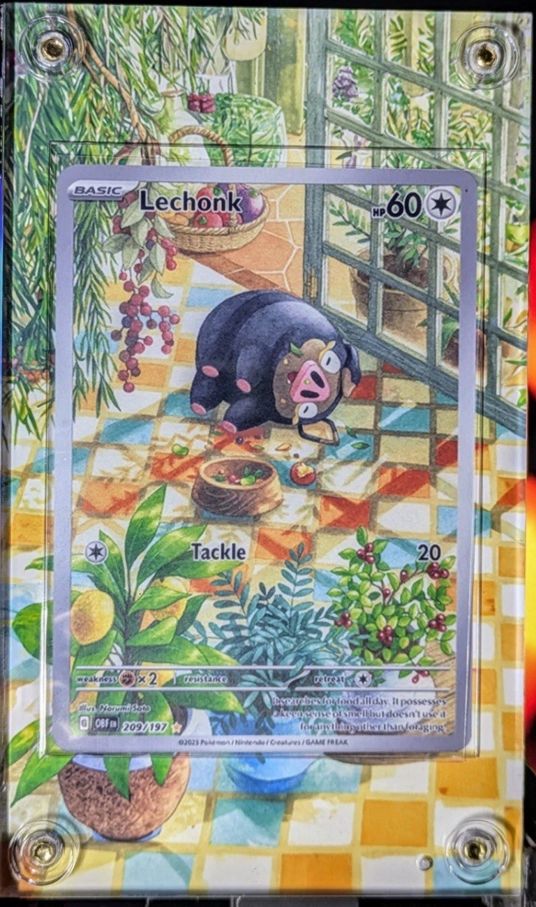 Lechonk SV03 Obsidian Flames 209/197 Holo IR Pokémon Extended Case (No Card)