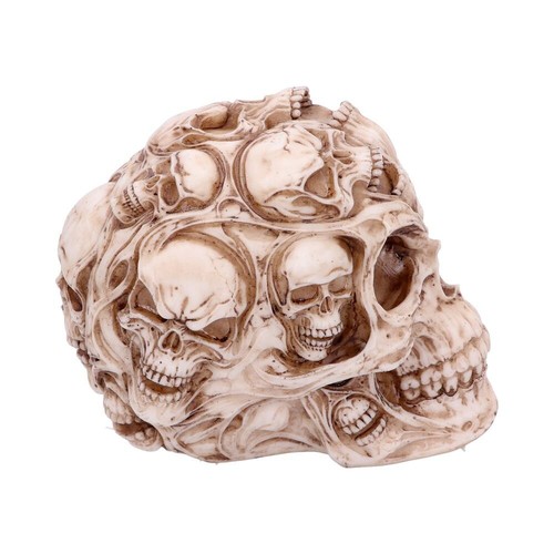 Skull Figurine Nemesis Now Gothic Skull Ornament Figurine Skelton Fantasy Gift. - Picture 236 of 275