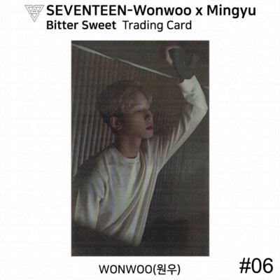 SEVENTEEN Wonwoo X Mingyu Bitter Sweet Trading Card Photocard KPOP