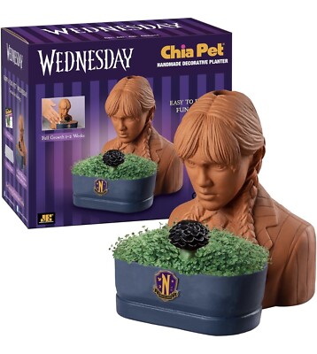 Chia Pet Wednesday Addams w/Seed Pack, Decorative Pottery Planter FREE SHIPPING