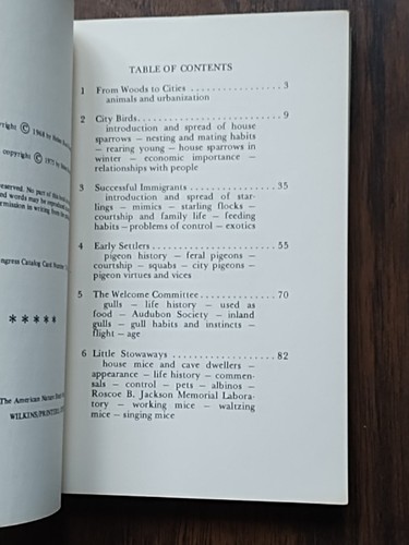 City Critters 🐿️ by Helen Ross Russell 🦝 1975 Revised Edition HTF Vintage 🐁 - Imagen 3 de 5
