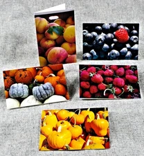 Summer Harvest Set of 5 Blank Photo Notecards