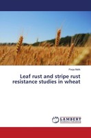 Leaf Rust And Stripe Rust Resistance Studies In Wheat Pooja Malik