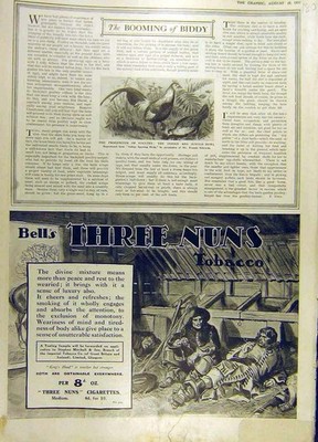 Alter antiker Druck 1916 Geflügel Indianer Rot-Dschungel Geflügel drei Nonnen Tabak 20.