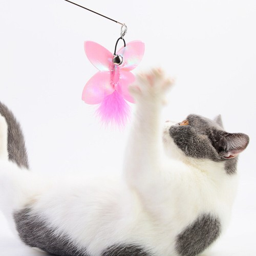 5 Pcs Jouet De vente en gros Chat Drôle Jouets Interactifs Pour Bird Chase Cat Toy