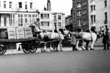 Zjj-65 Brewery Dray Horses & Cart, Brighton, Sussex. Photo