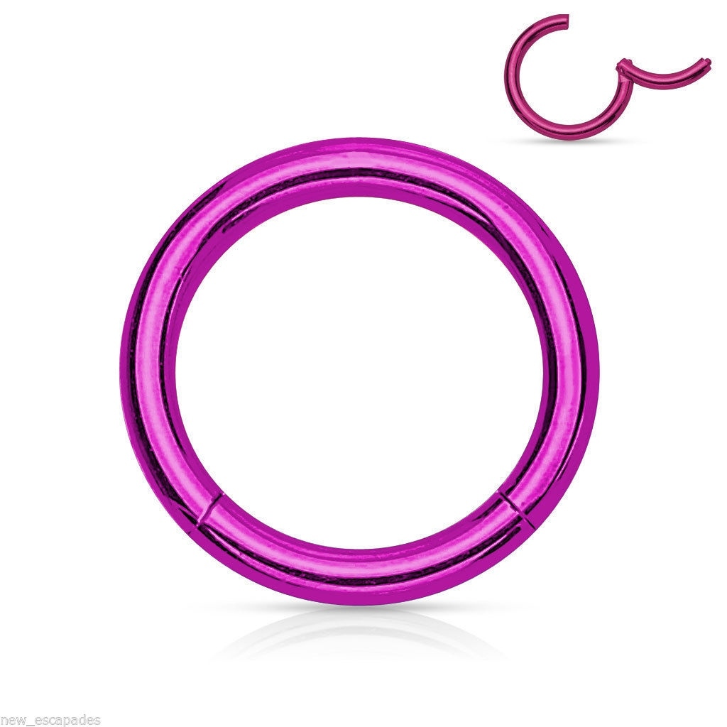 Segment Hinged Captive Lip Ring 14 Gauge 3/8
