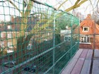 Bild 2 von 2
