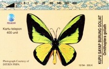 Telkom Indonesia Tamura Phonecard Kupu Sayap Burung Goliat Ornithoptera goliath