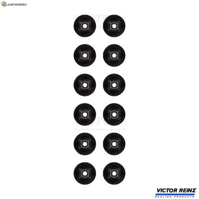 DICHTUNGSSATZ VENTILSCHAFT 12-17481-01 FÜR YZJA/XZJF/Y1DA/YZDA/Y2DA/YZDB 1.5L