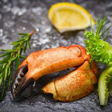 Today Gourmet Foods Florida Stone Crabs Claws-Medium 5-8 Claws Per lb.