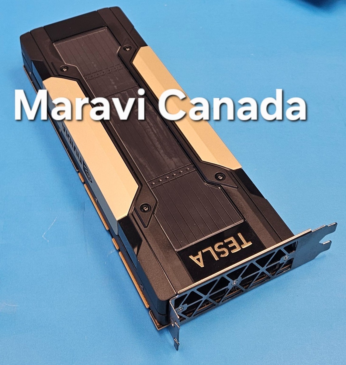 グラフィックボード・グラボ・ビデオカード NVIDIA Tesla V100 32GB NVIDIA Tesla V100 32GB HBM2 PCIe GPU Graphics Card 900-2G500-0010