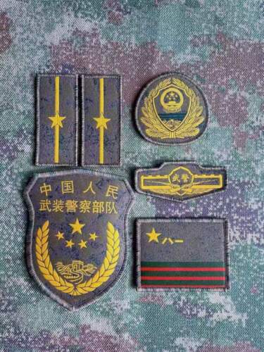 Set chinesische 21 Typ gestickte Pins Abzeichen Patches Marine, Luftwaffe, Armee - Bild 13 von 17