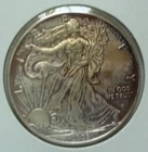 2008 USA AMERICAN SILVER EAGLE - 1 Oz BU .999 SILVER CROWN - RAINBOW TONING -RAR