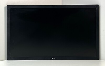LG 22MK400H 22