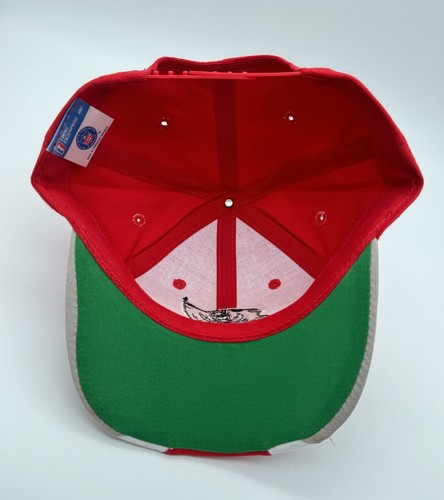 Tampa Bay Buccaneers Bucs Twins Vtg NFL Football Snapback Sports Hat Cap - Picture 6 of 16