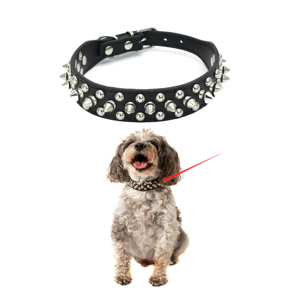 Toy breed cheap dog collars