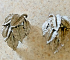 VINTAGE BRUSHED SILVER TONE LEAF  CLIP ON EARRINGS — photo 1