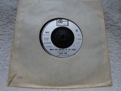 TIGER SUE  WHEN YOU WALKED IN THE ROOM / HUMAN BEING SOMEONE  VINYL 7'' Pinnacle