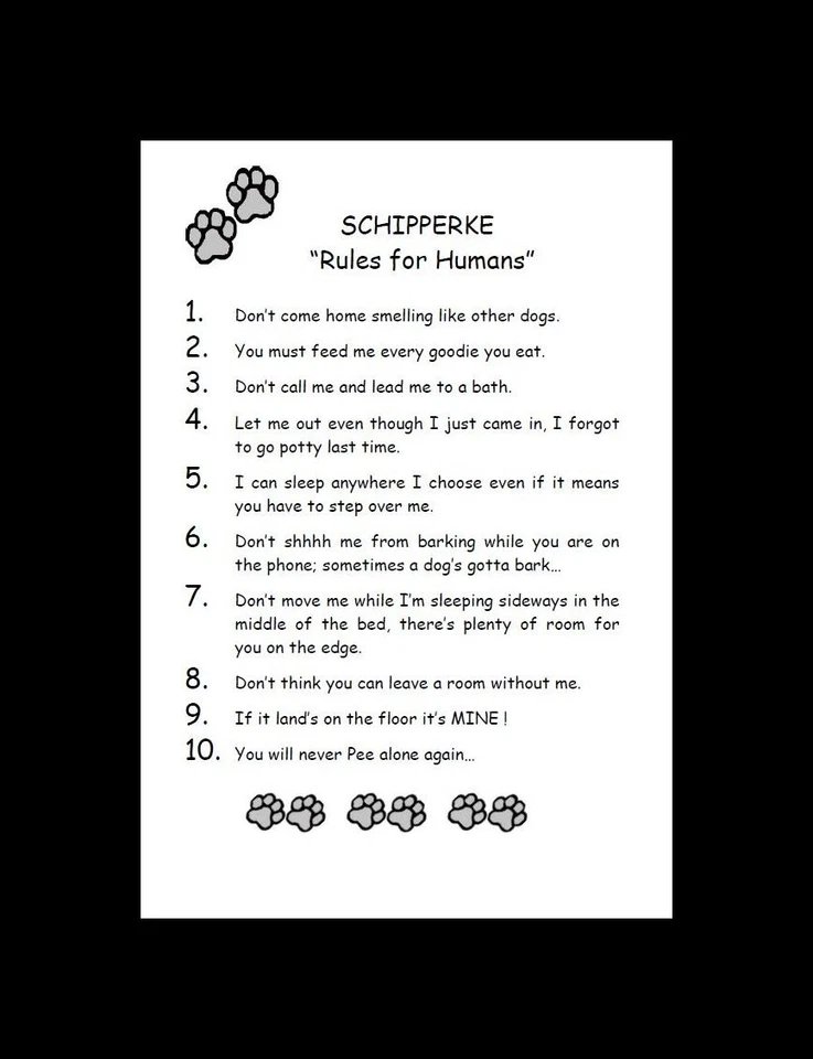Schipperke "Правила для Людей" - НА ЗАКАЗ МАТОВАЯ - Художественная Печать с Собаками: ПОДАРОК - Изображение 2 из 2