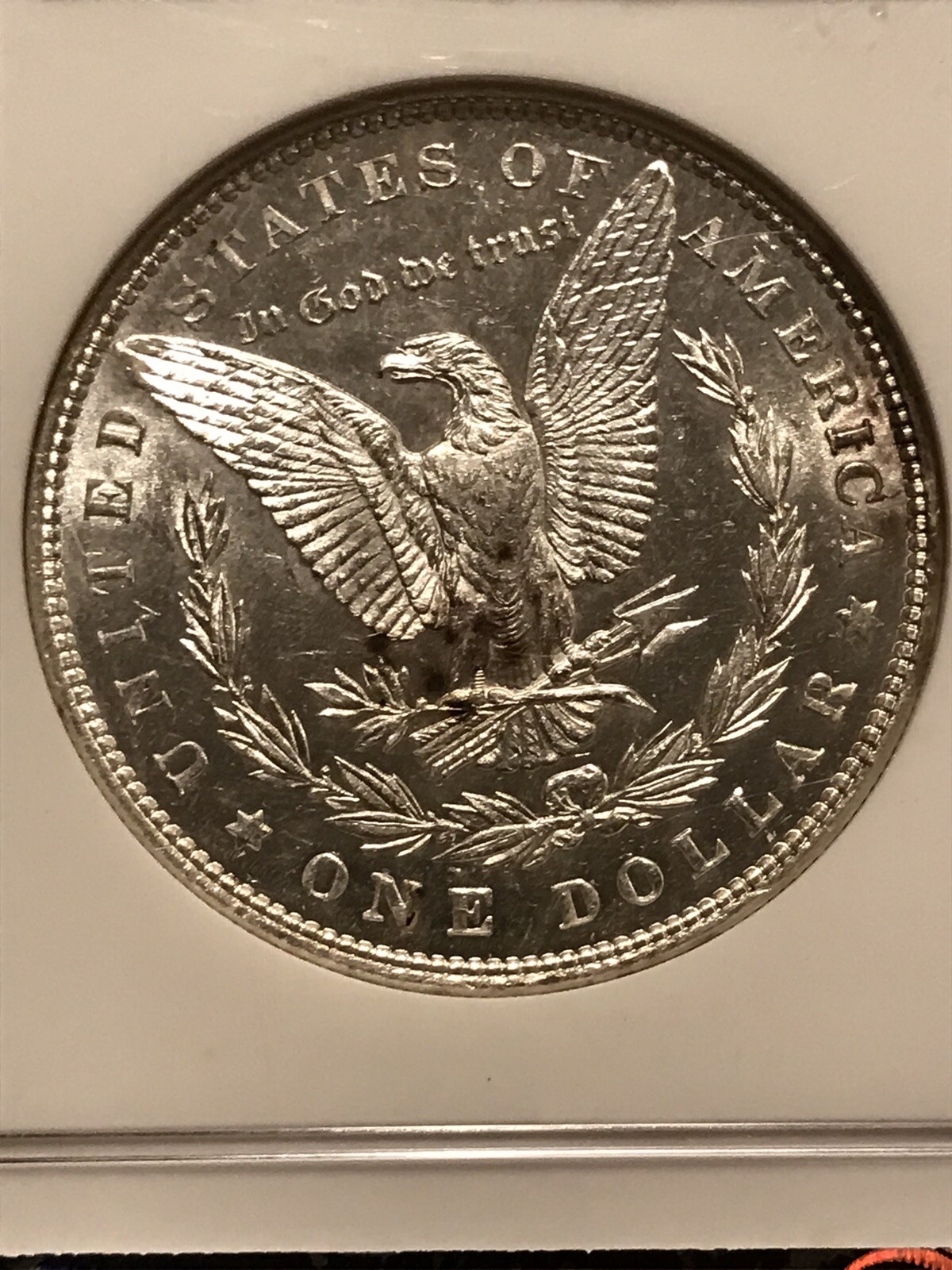 Picture 10 of 19