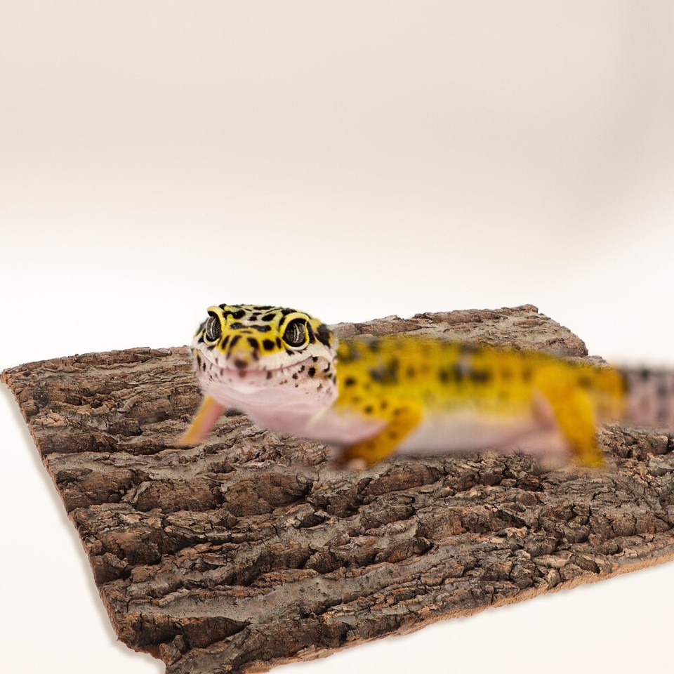 Cork Terrarium Background Reptile Cork Bark Backdrop Climbing Mat