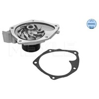Meyle Wasserpumpe FüR Renault Megane II ScéNic Suzuki Grand Vitara Primera