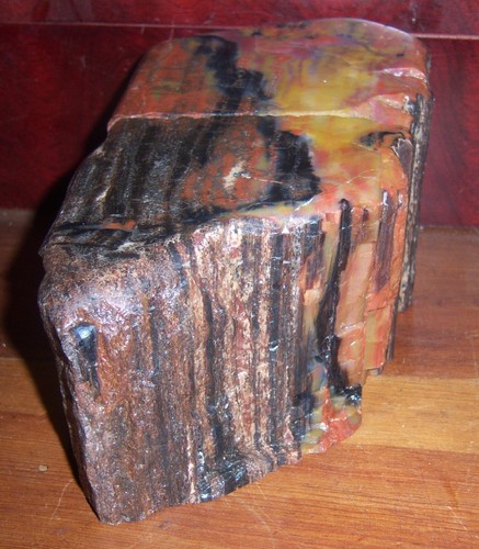 Lapidary Sawed Bookends - Colorful Petrified Wood Arizona - Picture 10 of 16