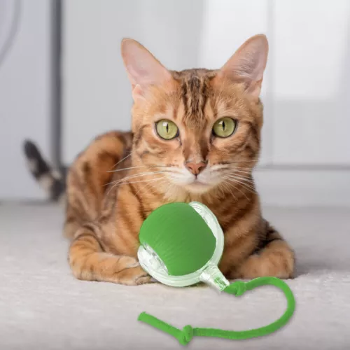 Juguetes interactivos para gatos bola rodante eléctrica mascota juego de gatito móvil automático - Imagen 8 de 20