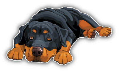 Cute Rottweiler Dog Car Bumper Sticker Decal