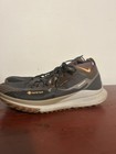 Nike React Pegasus Trail 4 GoreTex Men Size 14 Anthracite Ale Brown FD5841-001 — photo 4
